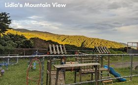 Lidia'S Mountain View Vacation Homes